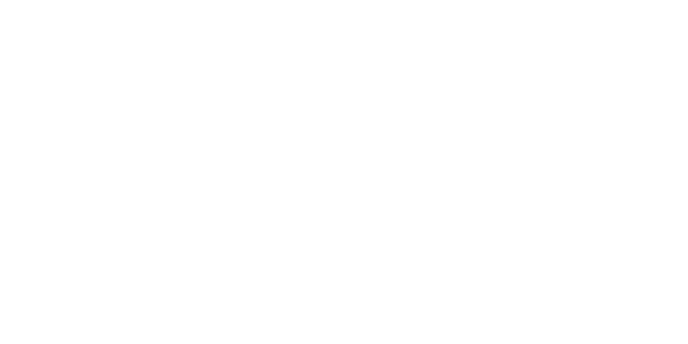 logo lgxplorer